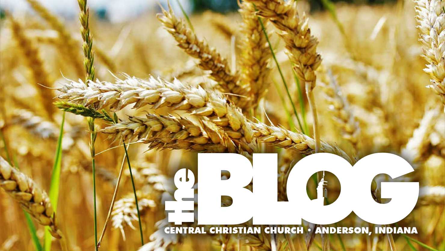 DON'T TEAR OUT THE TARES (by Pastor Ken Rickett)